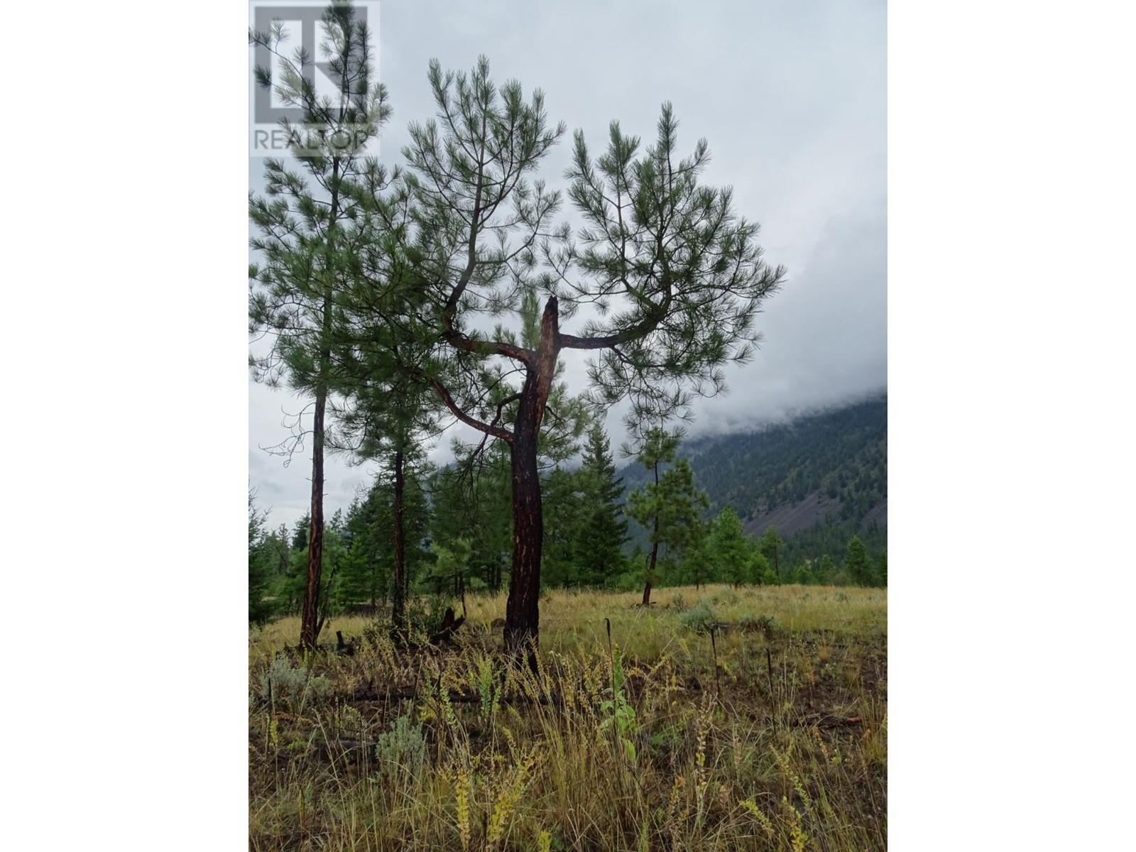 285 Jones Road, Lillooet, British Columbia  V0K 1V0 - Photo 11 - 165306