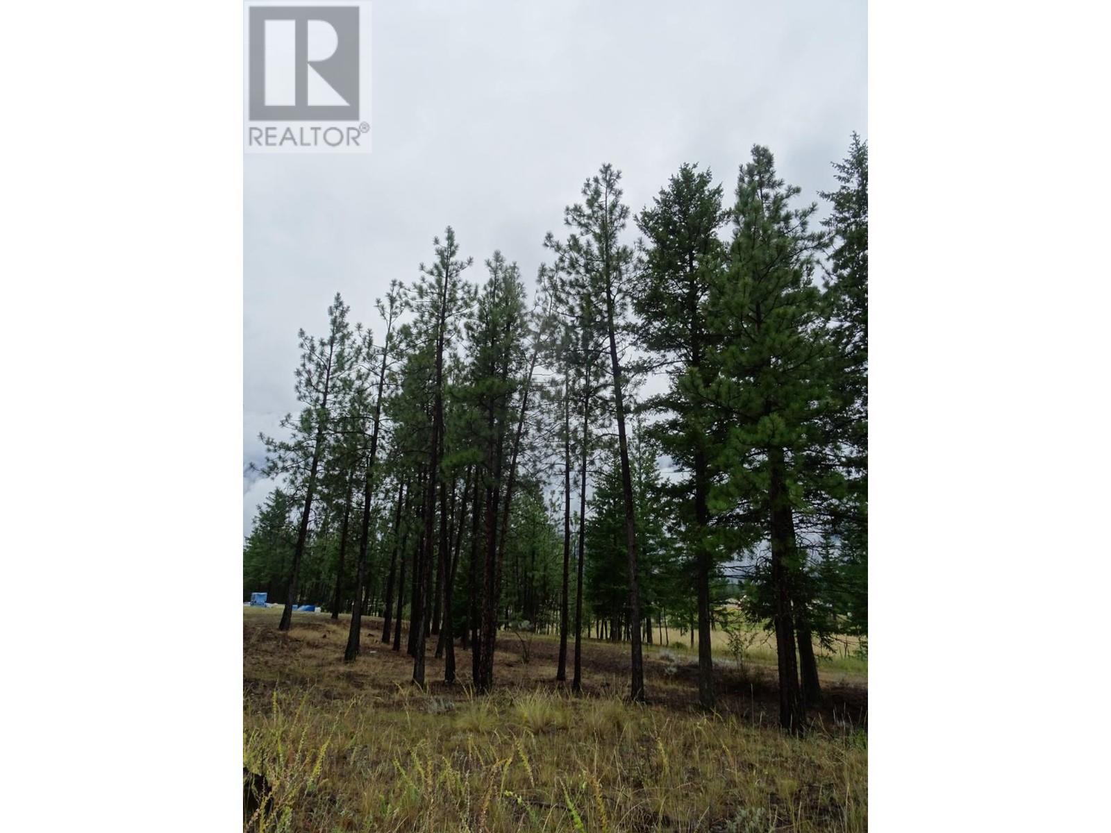 285 Jones Road, Lillooet, British Columbia  V0K 1V0 - Photo 12 - 165306