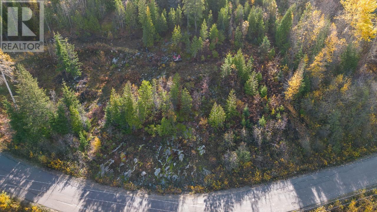 Lot A Richie Road, Rossland, British Columbia  V0G 1Y0 - Photo 16 - 2465729