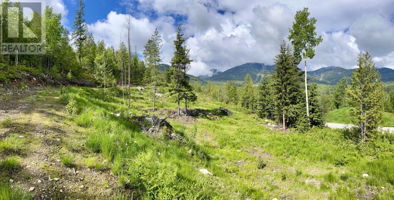 Lot A Richie Road, Rossland, British Columbia  V0G 1Y0 - Photo 19 - 2465729