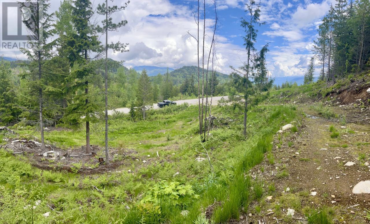 Lot A Richie Road, Rossland, British Columbia  V0G 1Y0 - Photo 20 - 2465729