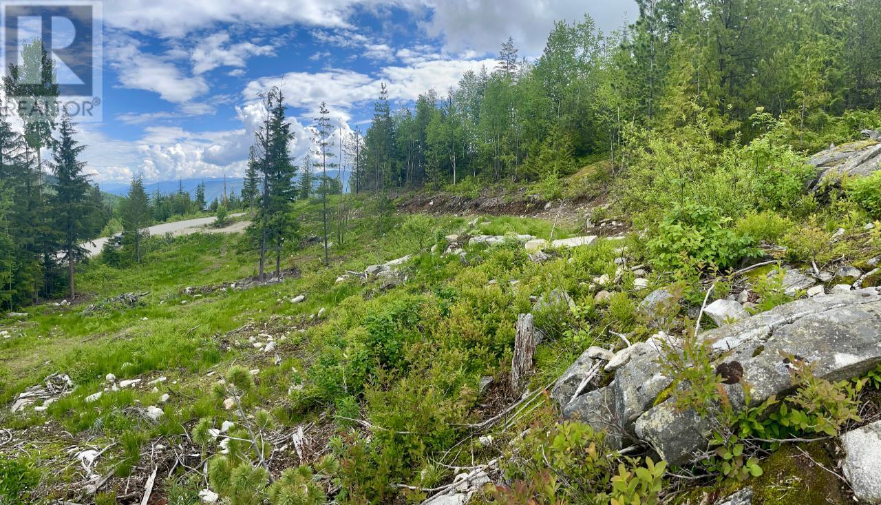 Lot A Richie Road, Rossland, British Columbia  V0G 1Y0 - Photo 27 - 2465729