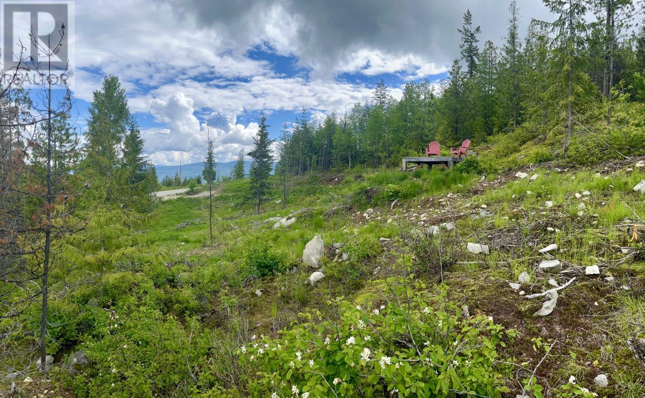 Lot A Richie Road, Rossland, British Columbia  V0G 1Y0 - Photo 30 - 2465729