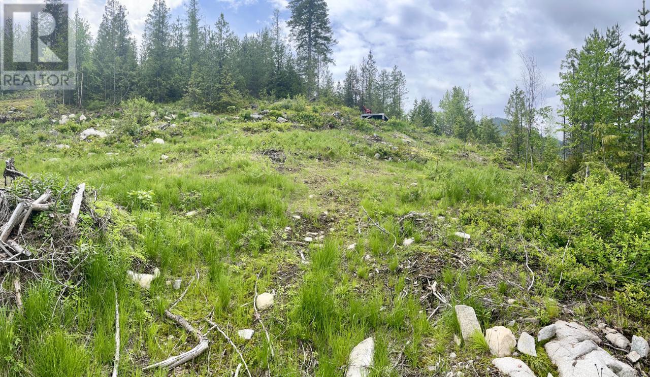 Lot A Richie Road, Rossland, British Columbia  V0G 1Y0 - Photo 32 - 2465729