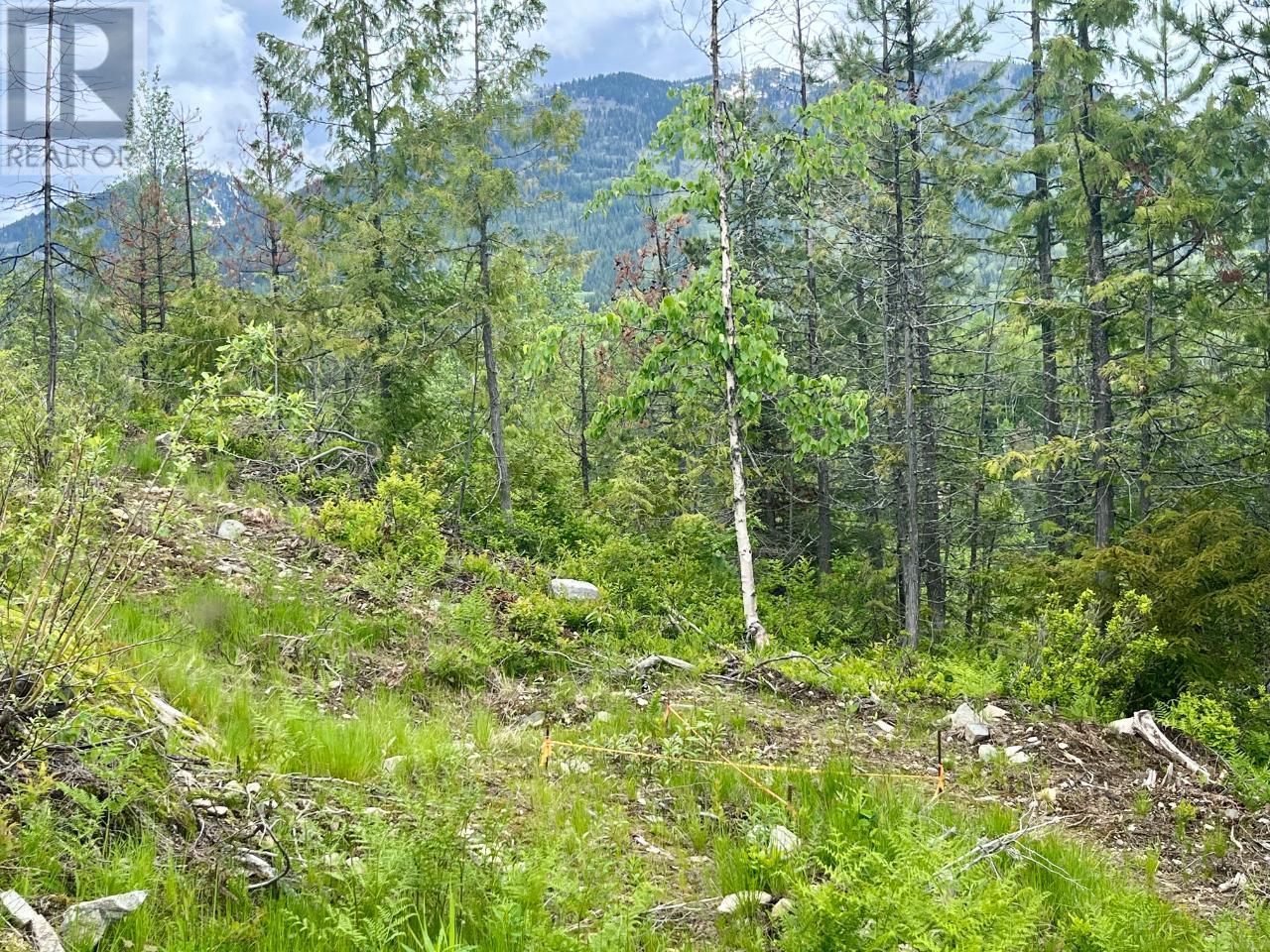 Lot A Richie Road, Rossland, British Columbia  V0G 1Y0 - Photo 34 - 2465729