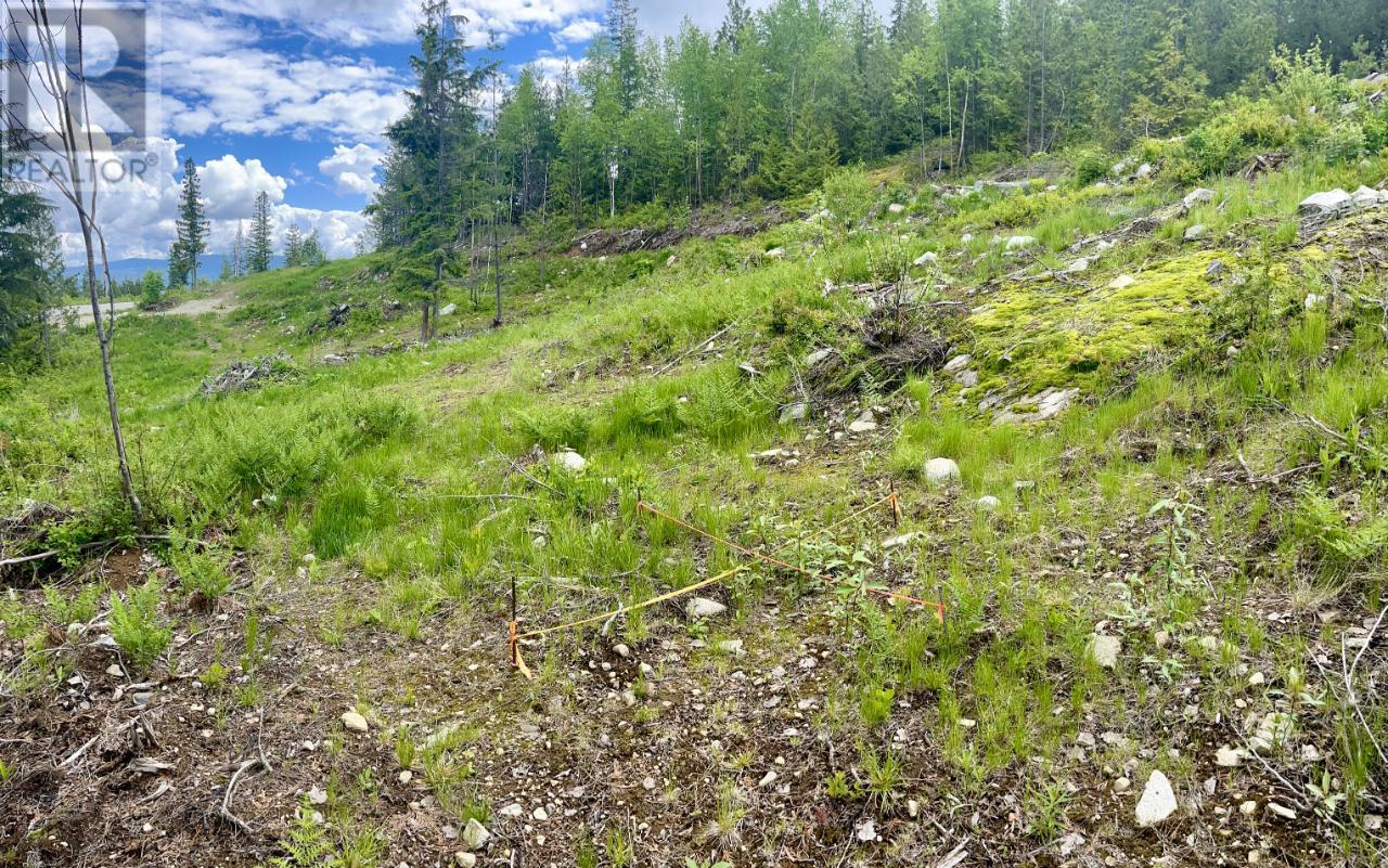 Lot A Richie Road, Rossland, British Columbia  V0G 1Y0 - Photo 35 - 2465729