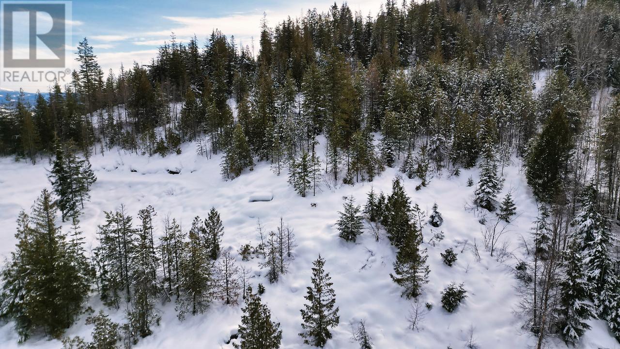 Lot A Richie Road, Rossland, British Columbia  V0G 1Y0 - Photo 50 - 2465729