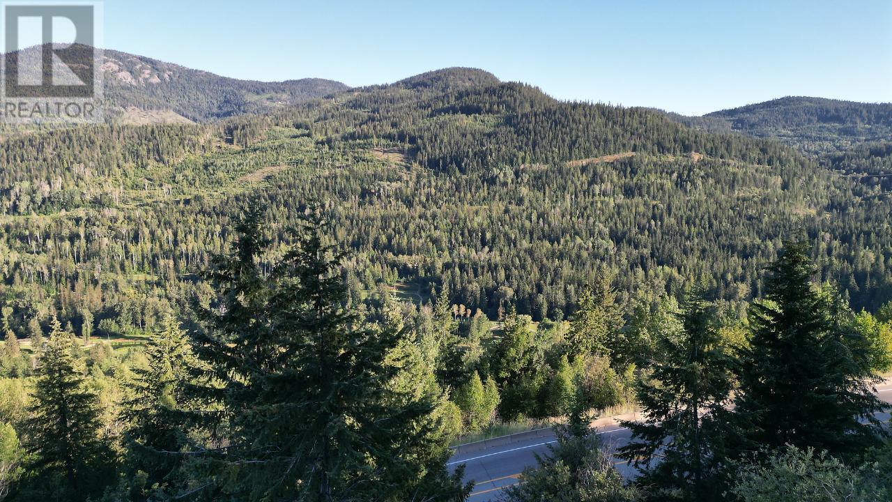 Lot 3 3b Highway, Rossland, British Columbia  V0G 1Y0 - Photo 57 - 2465879