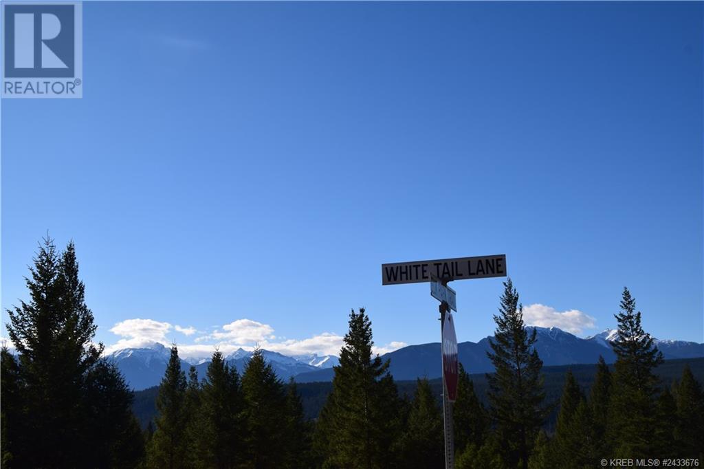 7058 White Tail Lane Unit# Lot 19, Radium Hot Springs, British Columbia  V0A 1M0 - Photo 2 - 2466384