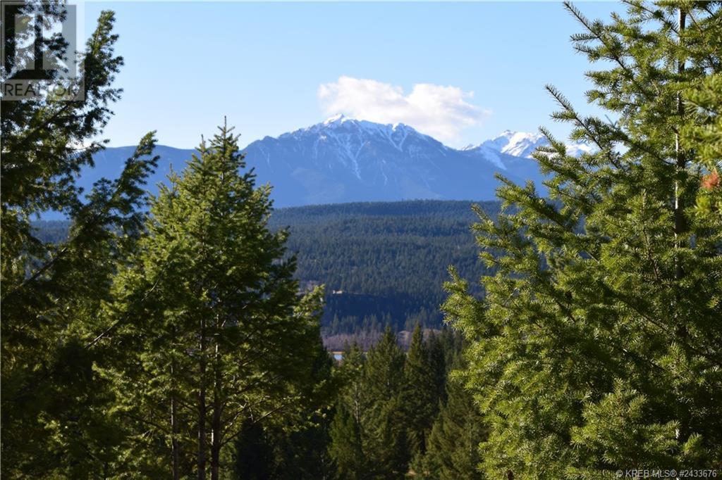 7058 White Tail Lane Unit# Lot 19, Radium Hot Springs, British Columbia  V0A 1M0 - Photo 6 - 2466384