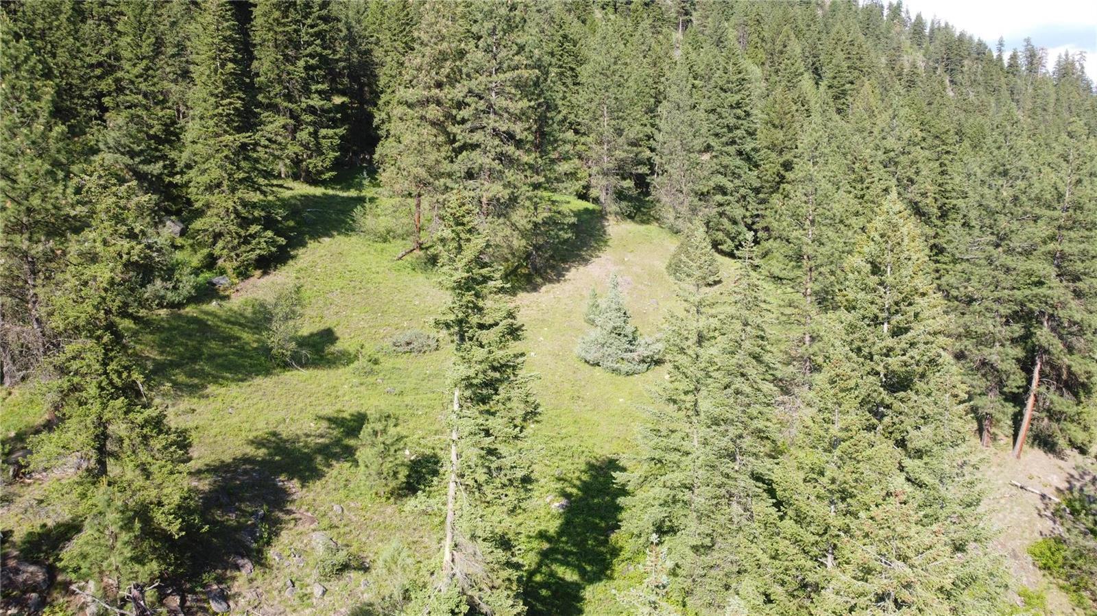 40 Acres Shuswap River Drive, Lumby, British Columbia  V0E 2G6 - Photo 16 - 10268876