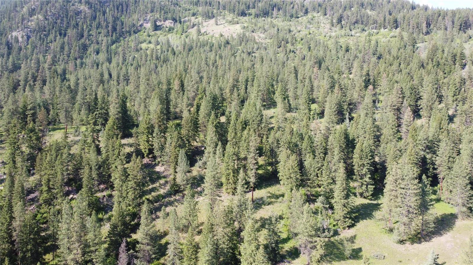 40 Acres Shuswap River Drive, Lumby, British Columbia  V0E 2G6 - Photo 20 - 10268876