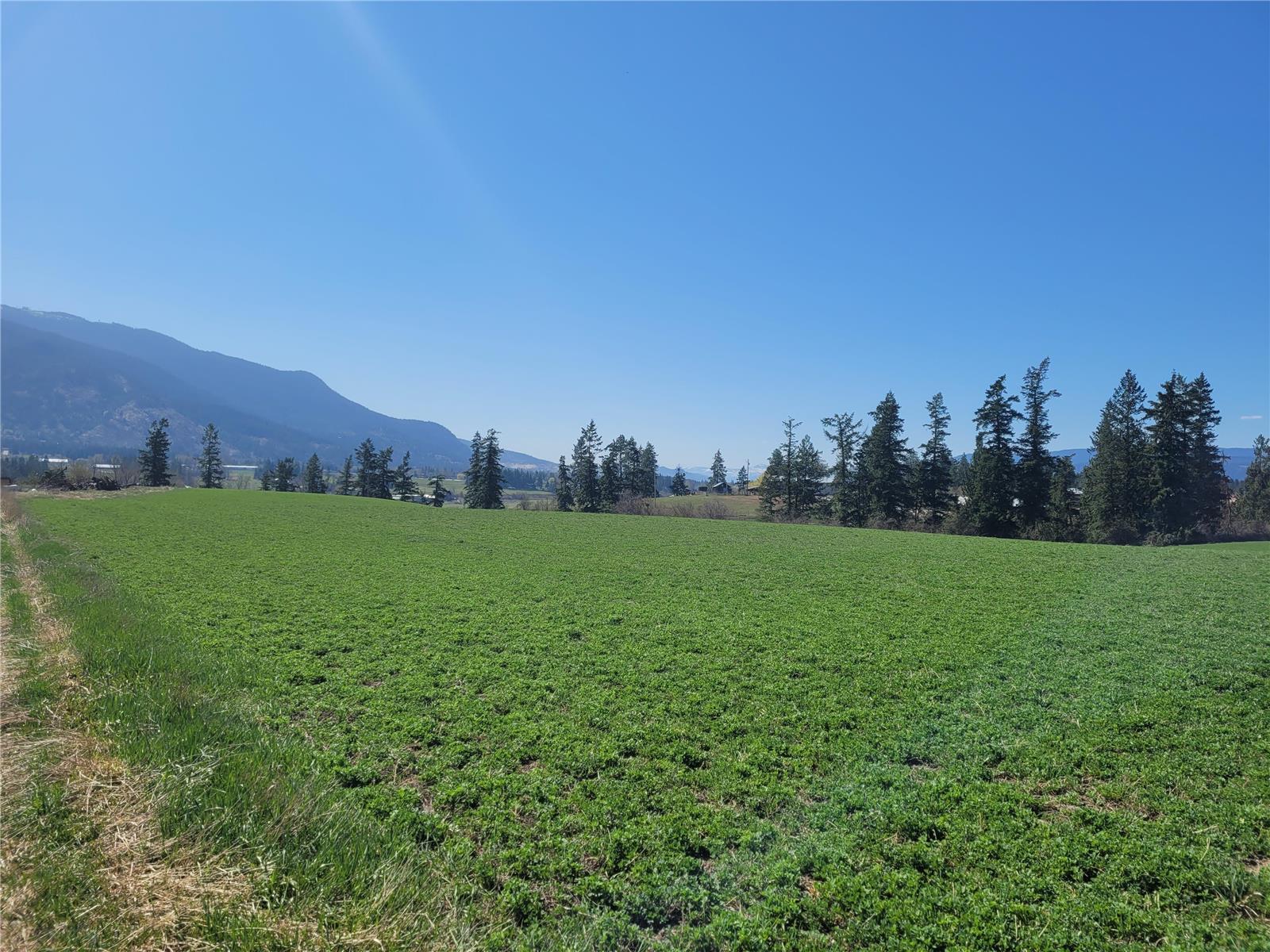 Lot 1 Marshall Road, Spallumcheen, British Columbia  V0E 1V0 - Photo 11 - 10268919