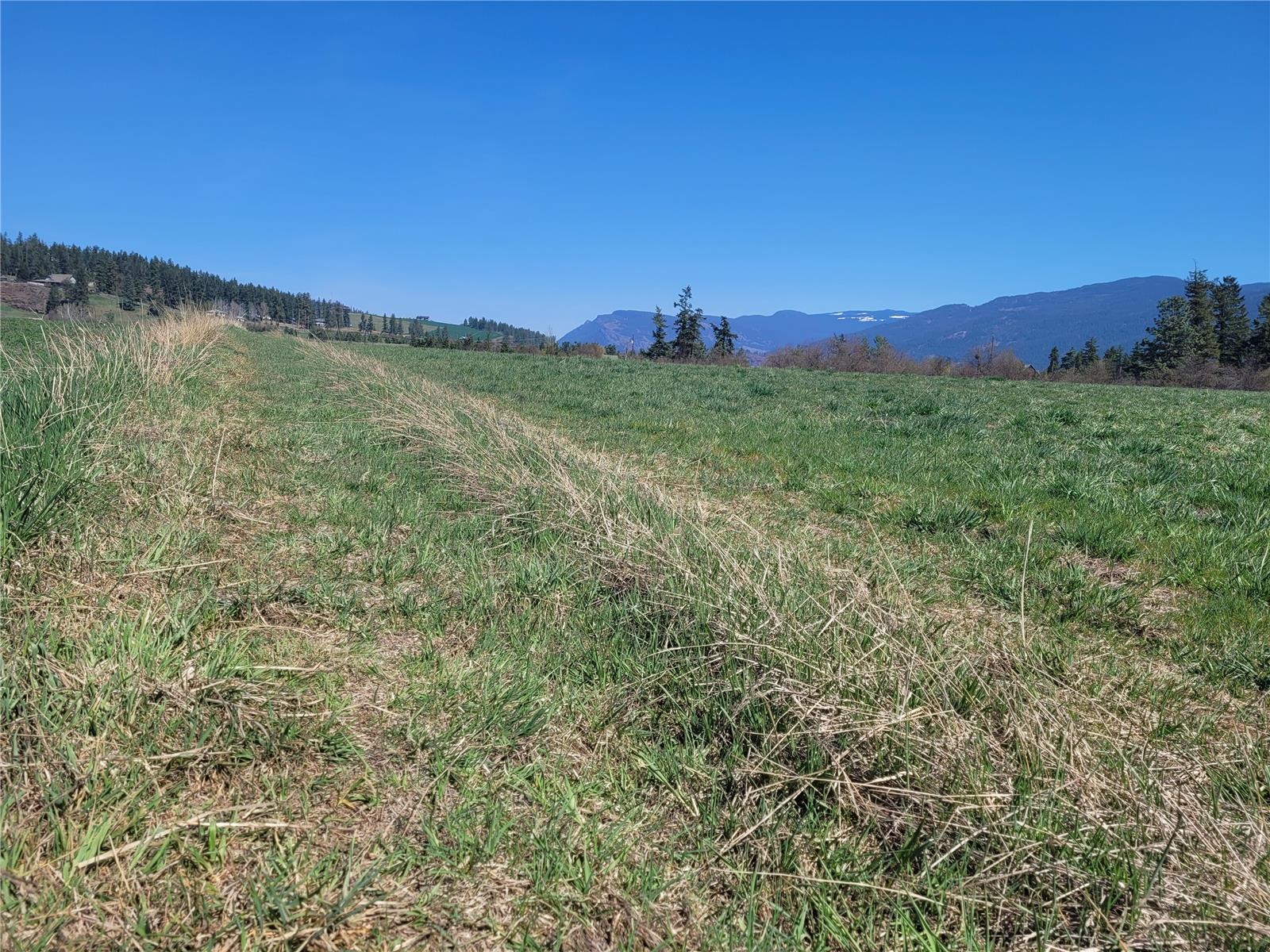 Lot 1 Marshall Road, Spallumcheen, British Columbia  V0E 1V0 - Photo 14 - 10268919