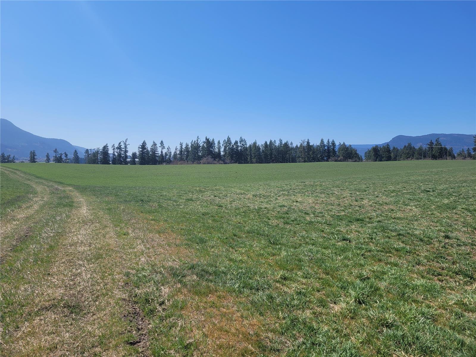 Lot 1 Marshall Road, Spallumcheen, British Columbia  V0E 1V0 - Photo 3 - 10268919