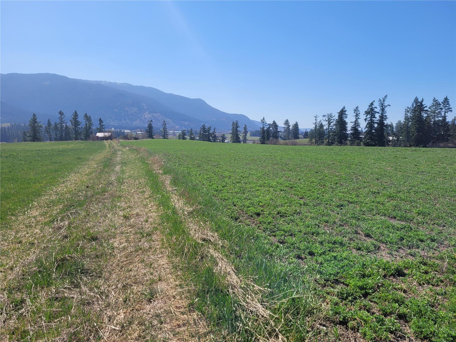 Lot 1 Marshall Road, Spallumcheen, British Columbia  V0E 1V0 - Photo 9 - 10268919