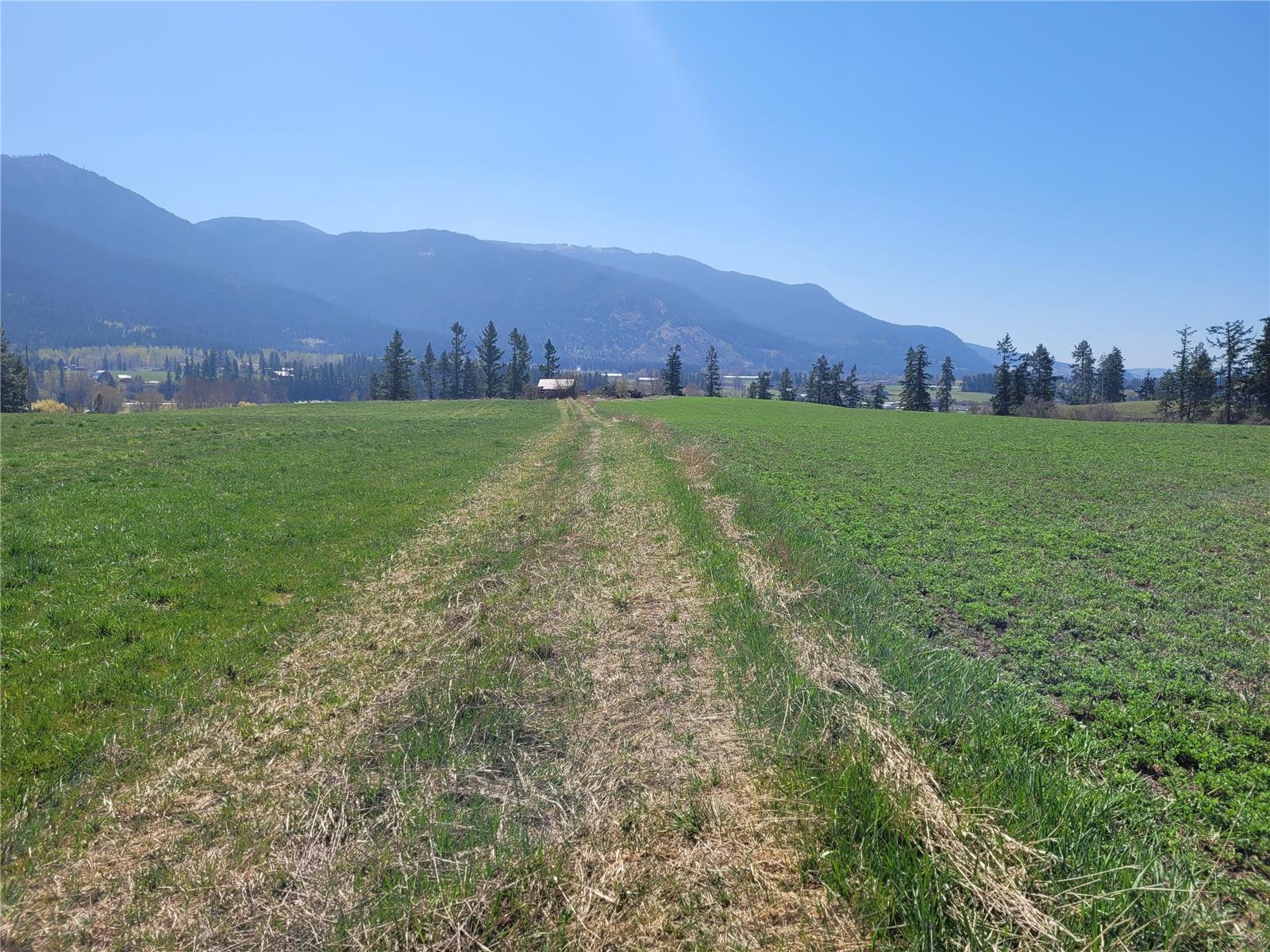 Lot 1 Marshall Road, Spallumcheen, British Columbia  V0E 1V0 - Photo 10 - 10268917