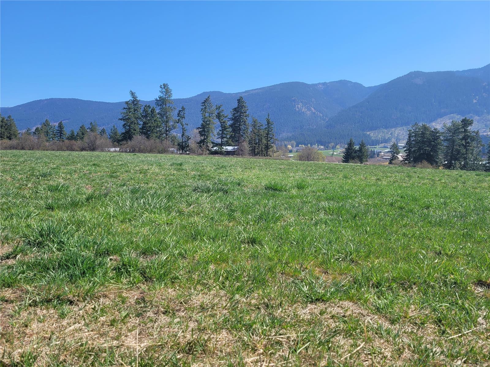 Lot 1 Marshall Road, Spallumcheen, British Columbia  V0E 1V0 - Photo 15 - 10268917