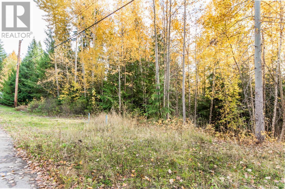 Lot 174 Anglemont Drive, Anglemont, British Columbia  V0E 1A0 - Photo 11 - 10270166