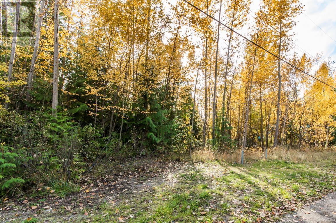 Lot 174 Anglemont Drive, Anglemont, British Columbia  V0E 1A0 - Photo 12 - 10270166