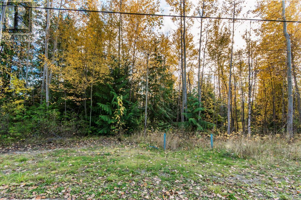 Lot 174 Anglemont Drive, Anglemont, British Columbia  V0E 1A0 - Photo 2 - 10270166