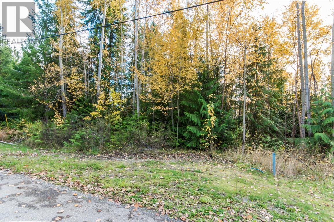 Lot 174 Anglemont Drive, Anglemont, British Columbia  V0E 1A0 - Photo 3 - 10270166