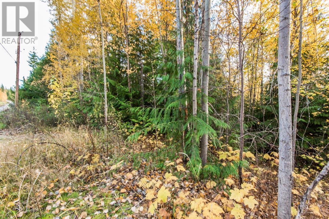 Lot 174 Anglemont Drive, Anglemont, British Columbia  V0E 1A0 - Photo 8 - 10270166