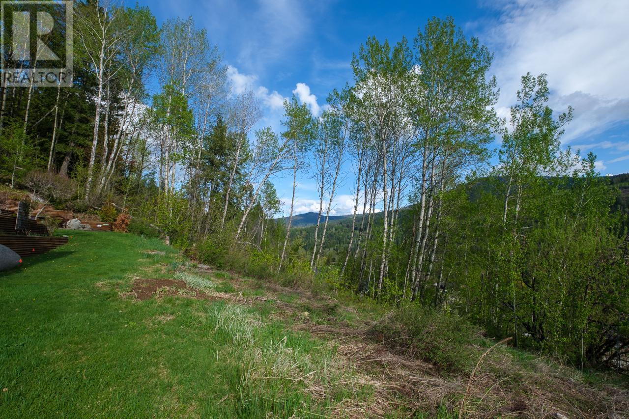 1021 Silvertip Road, Rossland, British Columbia  V0G 1Y0 - Photo 11 - 2470639