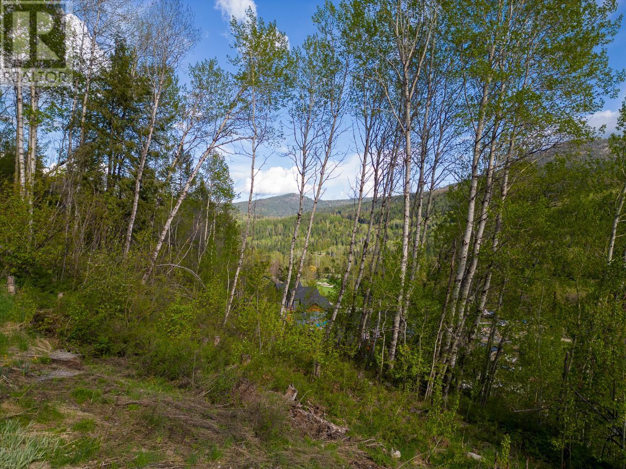 1021 Silvertip Road, Rossland, British Columbia  V0G 1Y0 - Photo 14 - 2470639