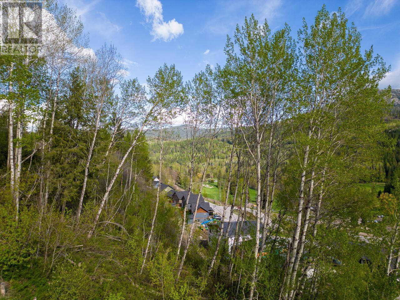 1021 Silvertip Road, Rossland, British Columbia  V0G 1Y0 - Photo 22 - 2470639