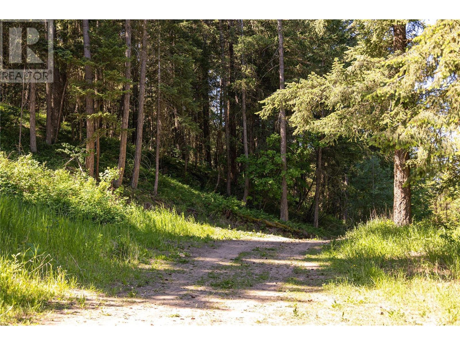 5165 Salmon River Road, Armstrong, British Columbia  V0E 1B4 - Photo 13 - 10276387