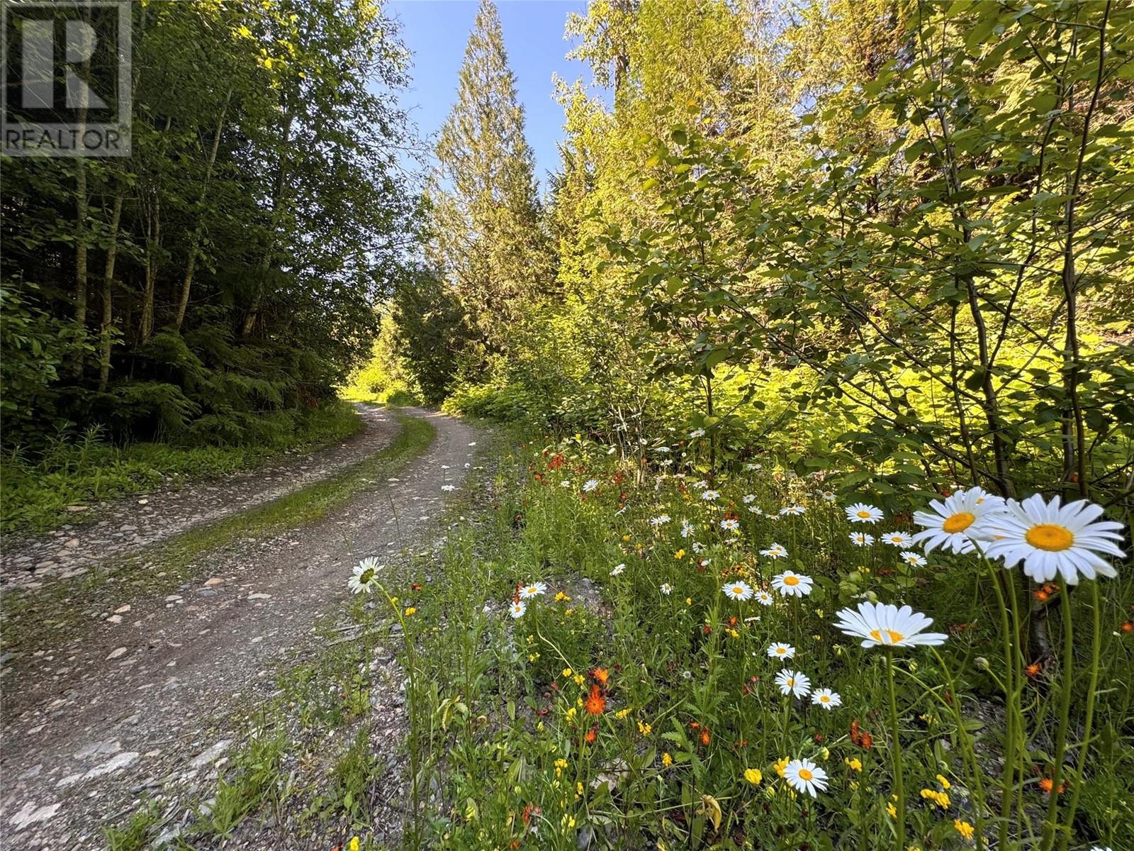 2410 Trinity Valley Road, Enderby, British Columbia  V0E 1V5 - Photo 2 - 10276533