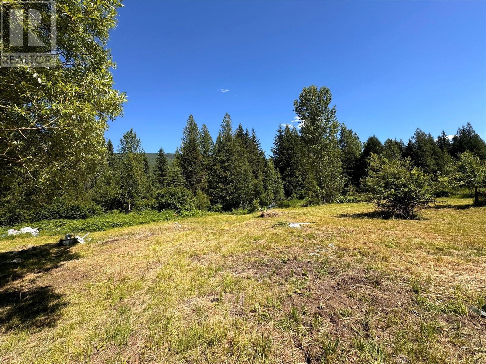 2410 Trinity Valley Road, Enderby, British Columbia  V0E 1V5 - Photo 40 - 10276533