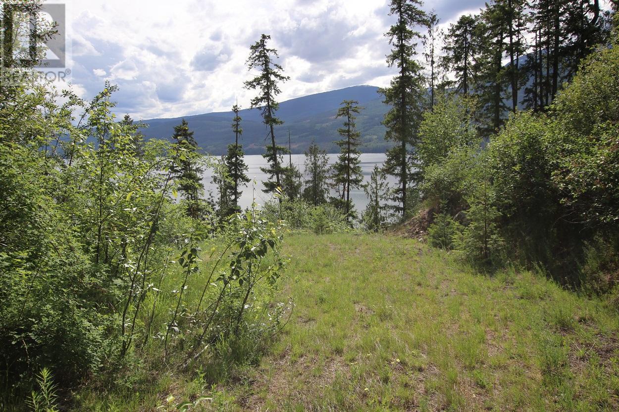 Lot B 23 Highway, Nakusp, British Columbia  V0G 1R1 - Photo 1 - 2471621