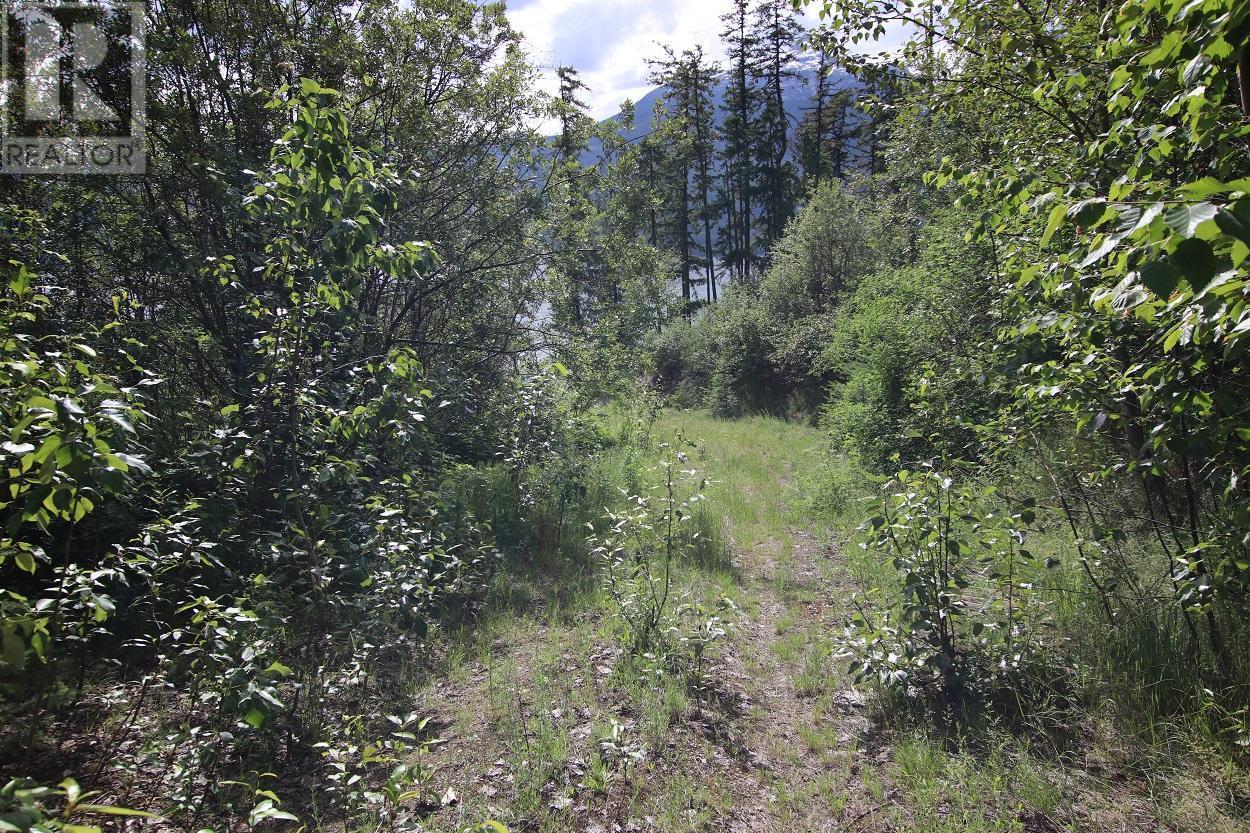 Lot B 23 Highway, Nakusp, British Columbia  V0G 1R1 - Photo 10 - 2471621