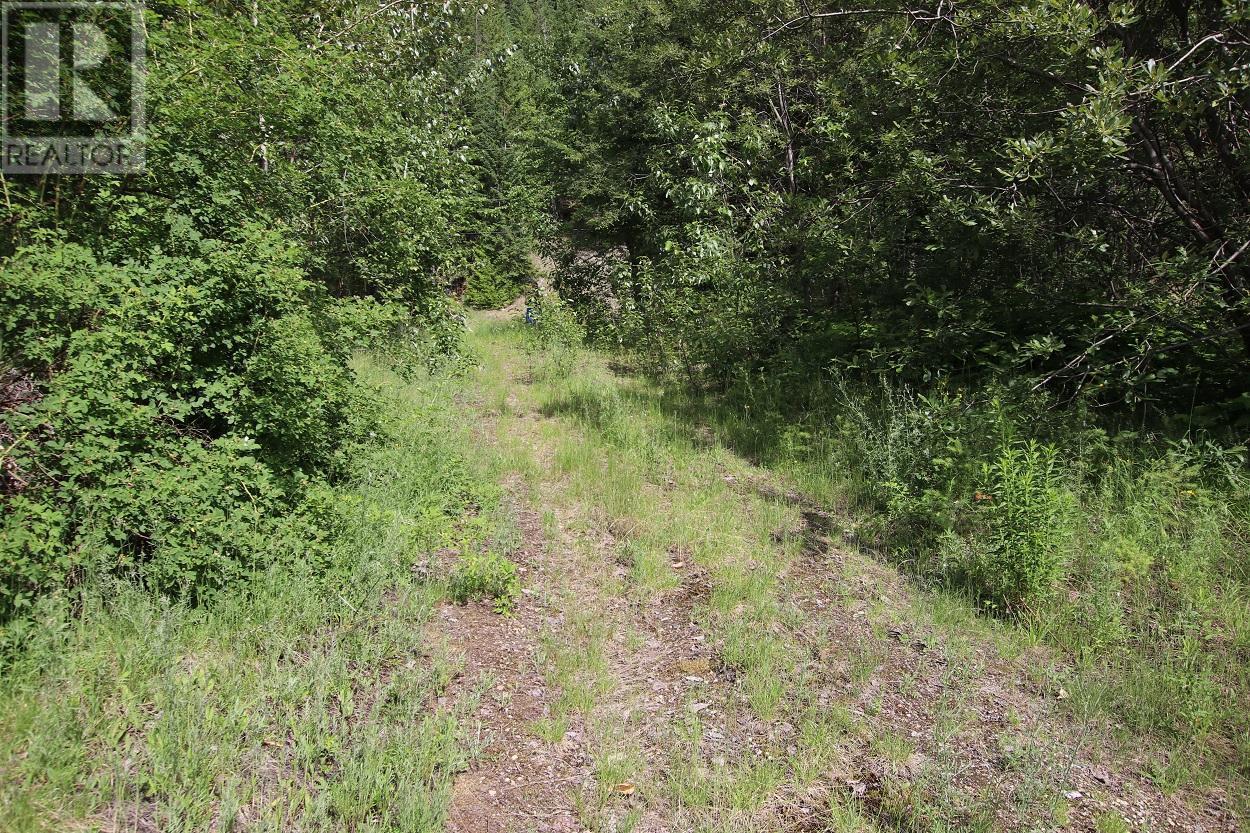 Lot B 23 Highway, Nakusp, British Columbia  V0G 1R1 - Photo 11 - 2471621