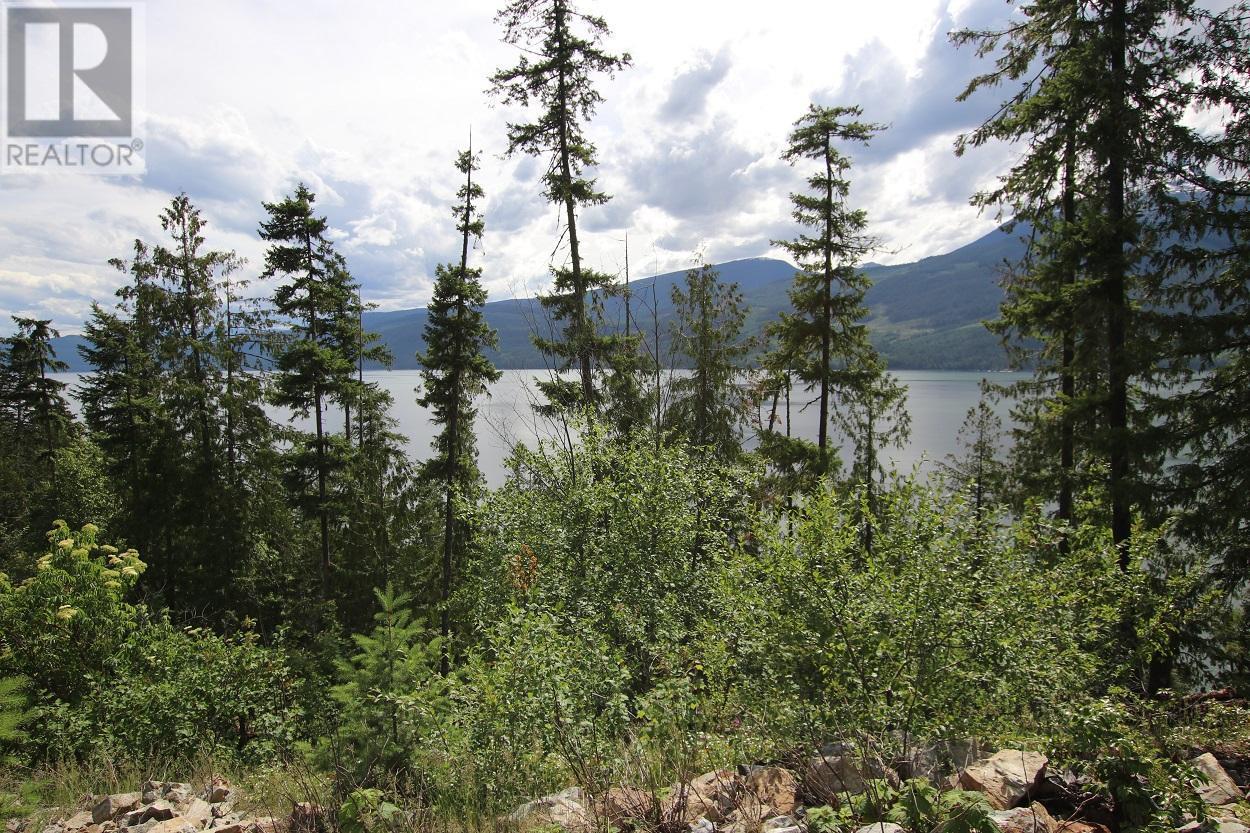 Lot B 23 Highway, Nakusp, British Columbia  V0G 1R1 - Photo 12 - 2471621