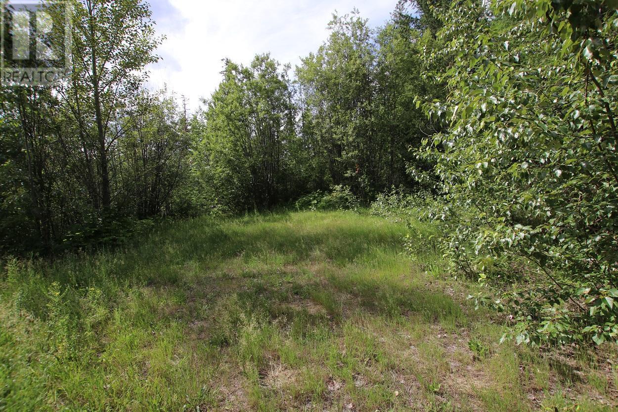 Lot B 23 Highway, Nakusp, British Columbia  V0G 1R1 - Photo 13 - 2471621