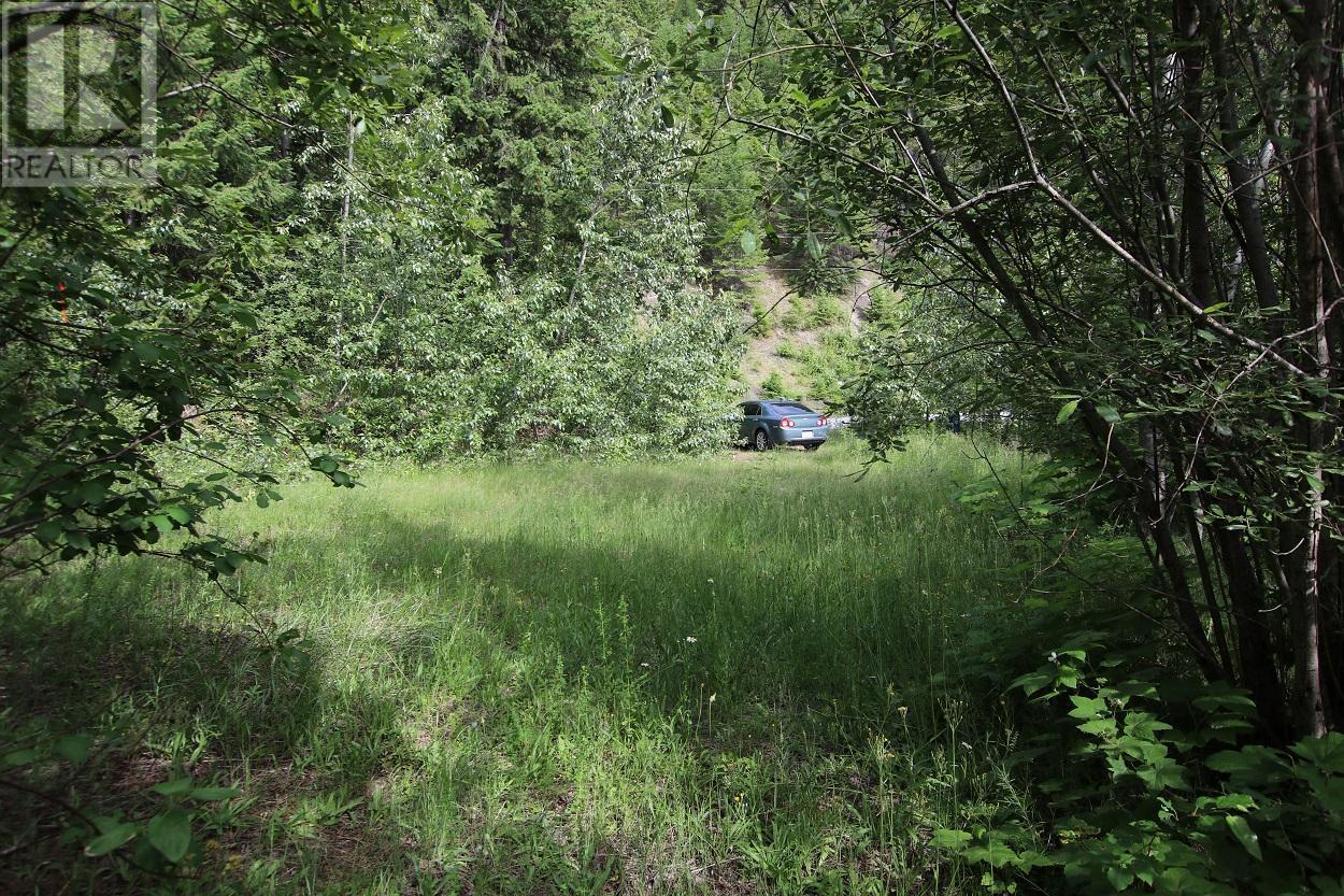 Lot B 23 Highway, Nakusp, British Columbia  V0G 1R1 - Photo 14 - 2471621