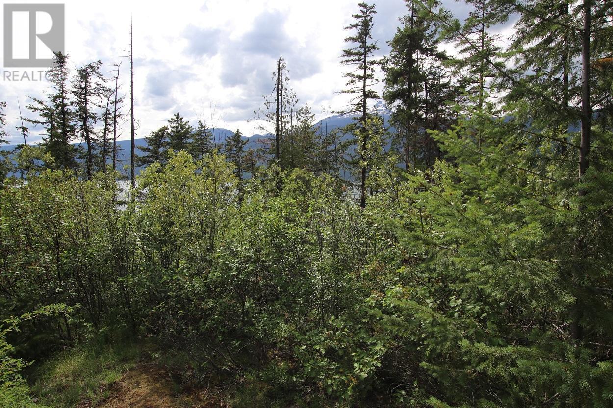 Lot B 23 Highway, Nakusp, British Columbia  V0G 1R1 - Photo 15 - 2471621