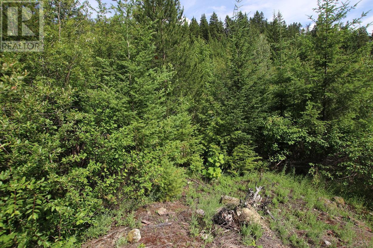 Lot B 23 Highway, Nakusp, British Columbia  V0G 1R1 - Photo 16 - 2471621