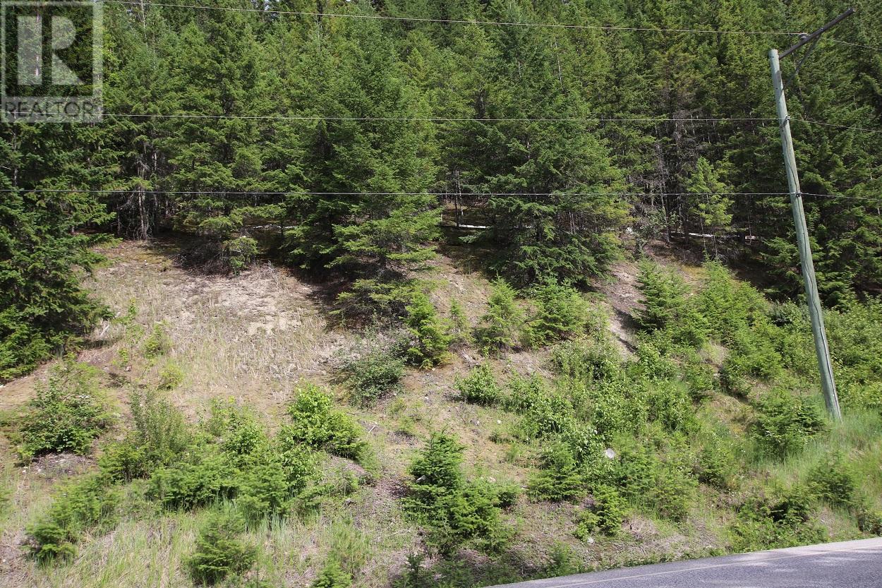 Lot B 23 Highway, Nakusp, British Columbia  V0G 1R1 - Photo 17 - 2471621