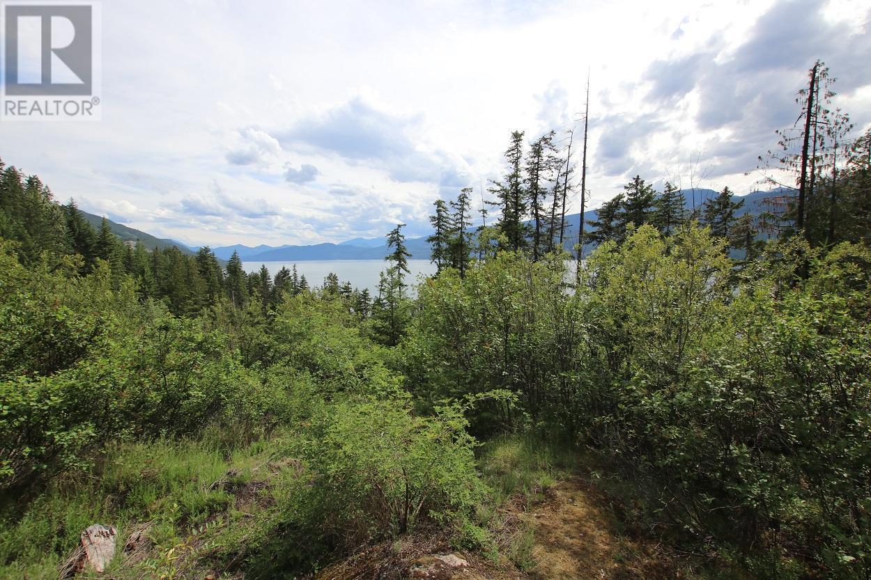 Lot B 23 Highway, Nakusp, British Columbia  V0G 1R1 - Photo 2 - 2471621