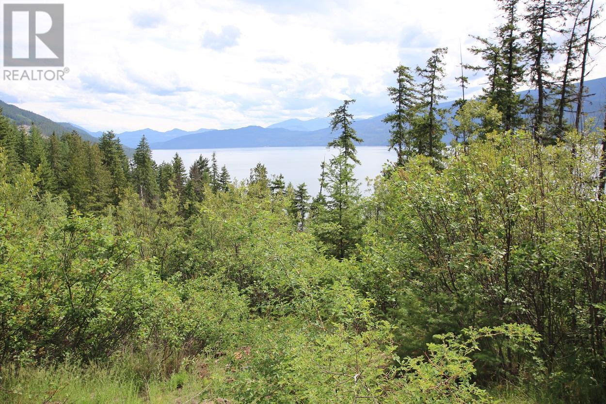 Lot B 23 Highway, Nakusp, British Columbia  V0G 1R1 - Photo 4 - 2471621