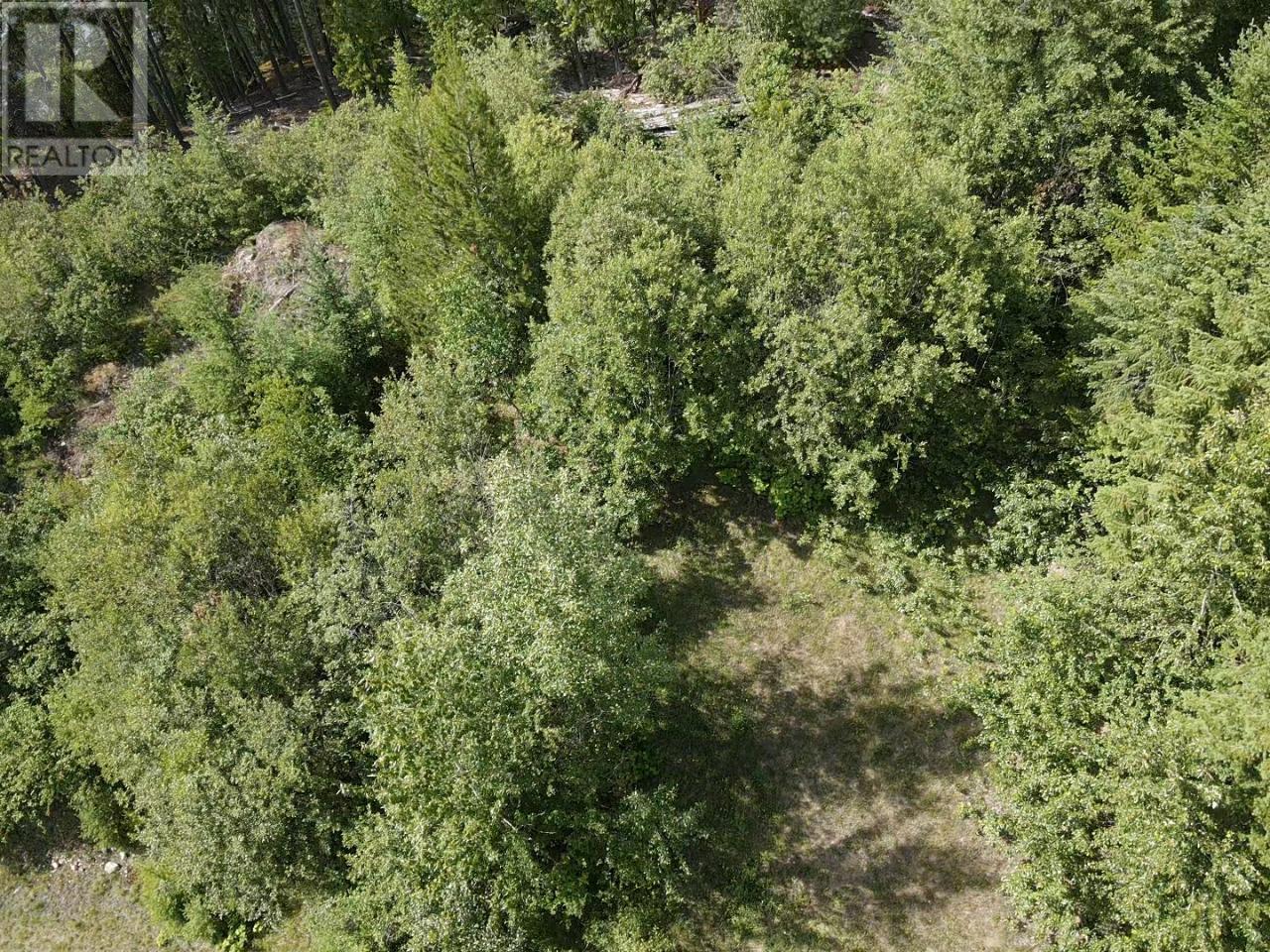 Lot B 23 Highway, Nakusp, British Columbia  V0G 1R1 - Photo 9 - 2471621