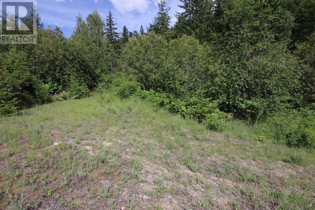 5959 23 Highway, Nakusp, British Columbia  V0G 1R1 - Photo 2 - 2471622