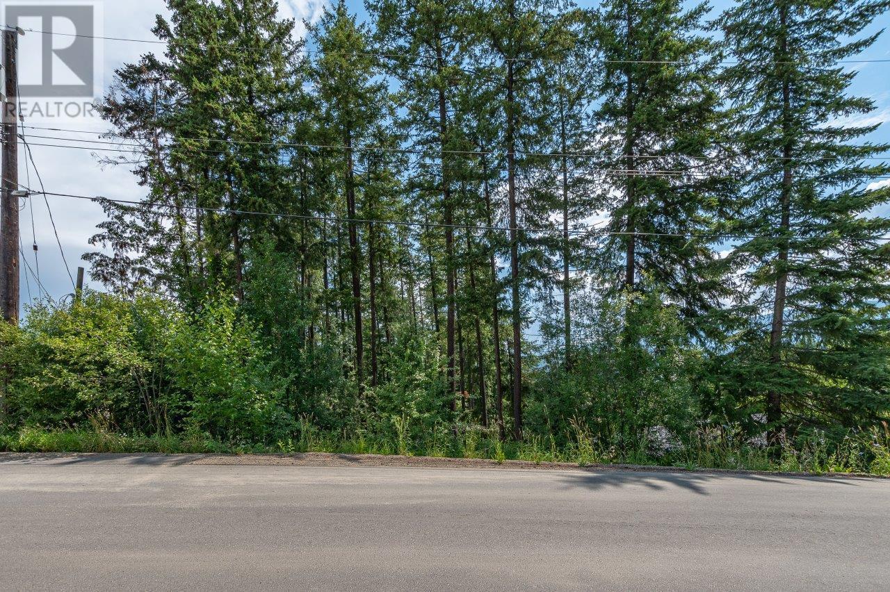 Lot 25 Forest View Place, Blind Bay, British Columbia  V0E 1H1 - Photo 25 - 10278634