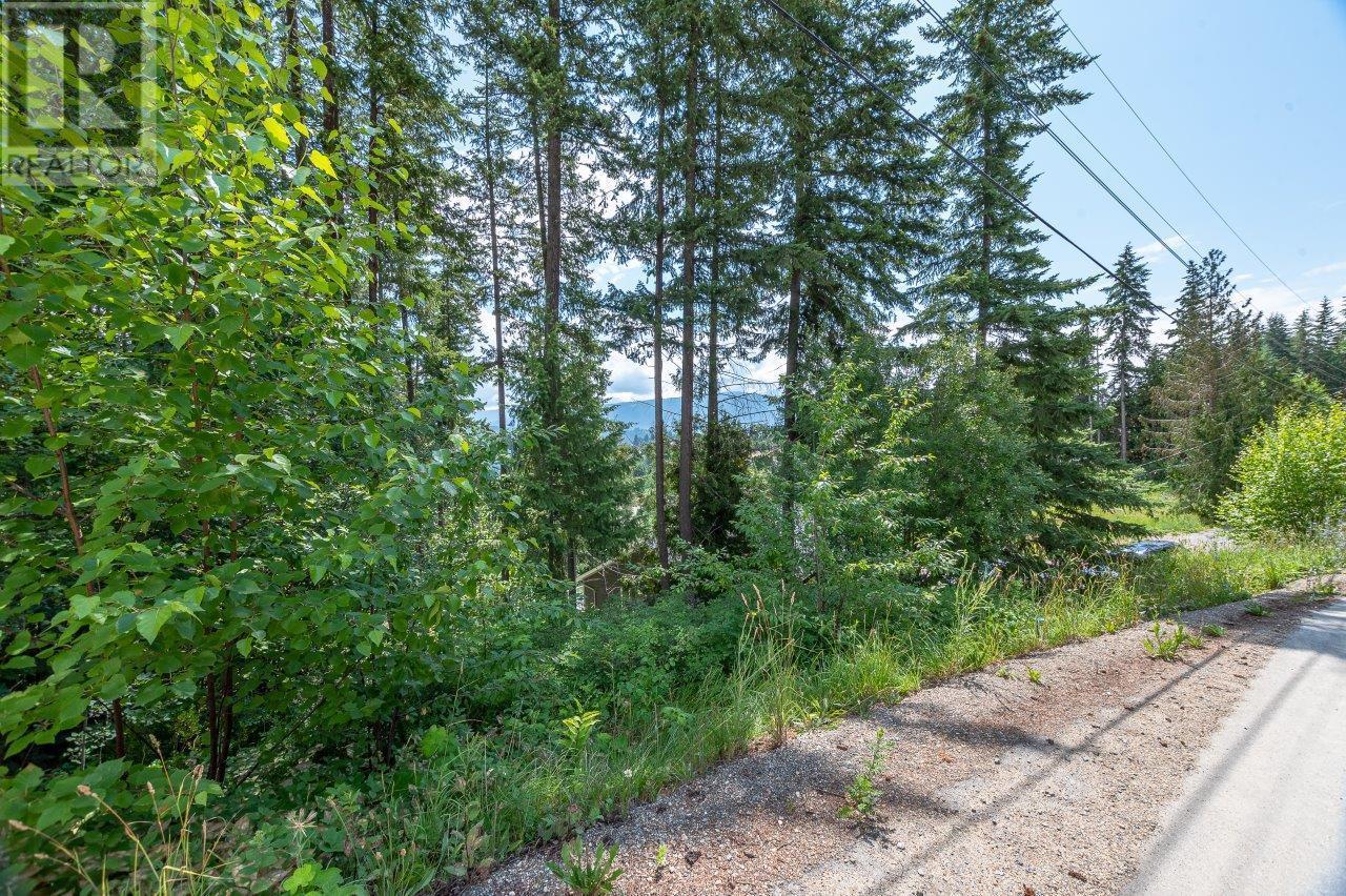 Lot 25 Forest View Place, Blind Bay, British Columbia  V0E 1H1 - Photo 27 - 10278634