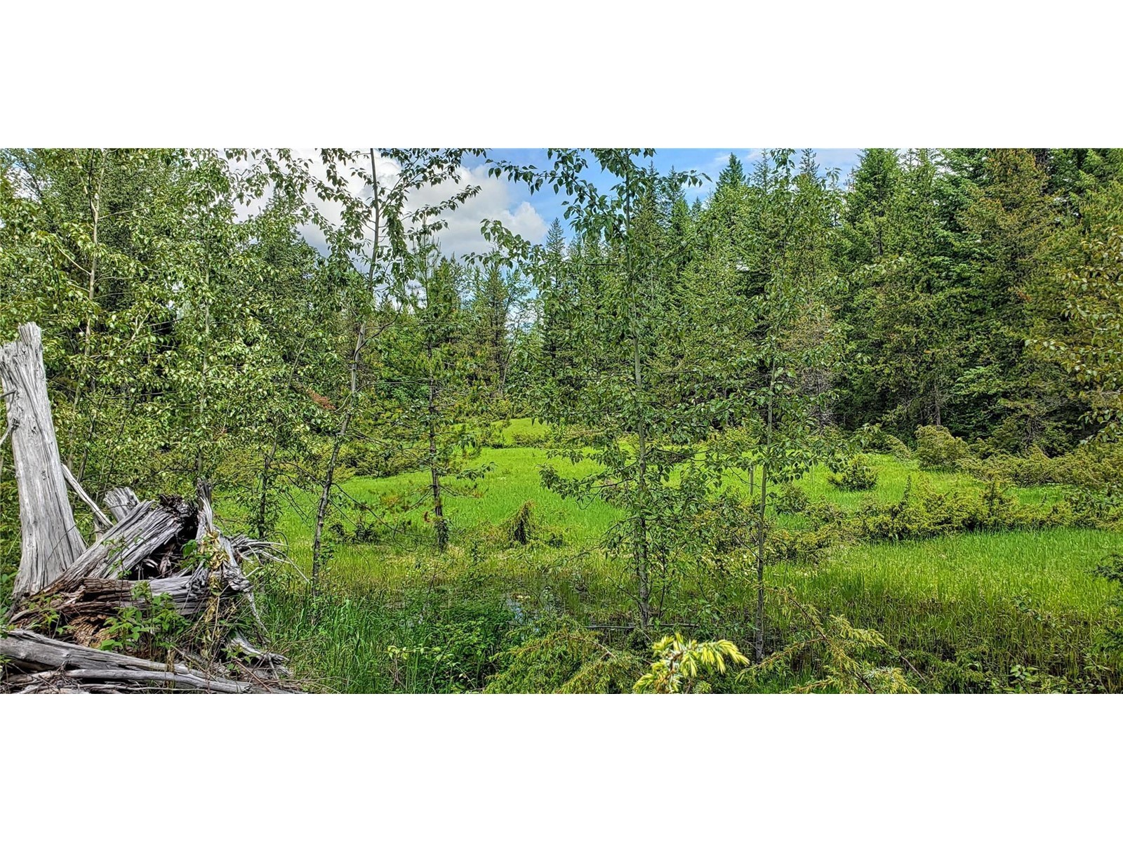 225 Barnes Creek Forest Service Road, Edgewood, British Columbia  V0G 1J0 - Photo 30 - 2471771