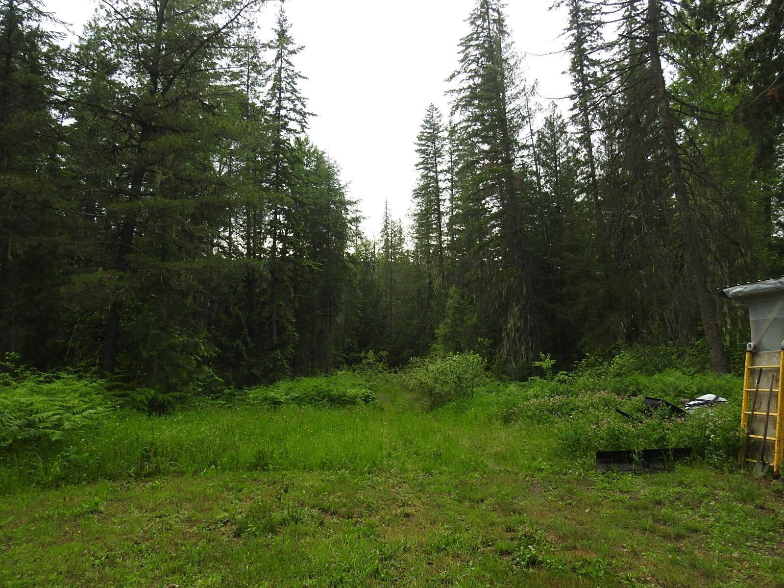 225 Barnes Creek Forest Service Road, Edgewood, British Columbia  V0G 1J0 - Photo 39 - 2471771